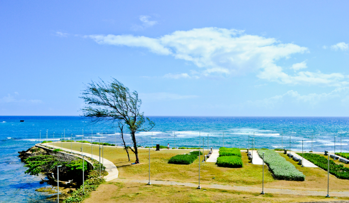 Precious Take of the Boulevard and its beach!! - Marysol Tours - Puerto Plata City Tour