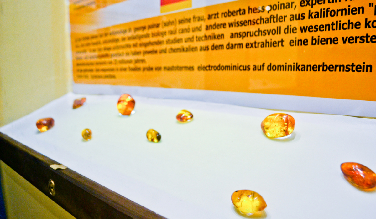 Amber Beads in Puerto Plata Amber Museum - Marysol Tours - Puerto Plata City Tour
