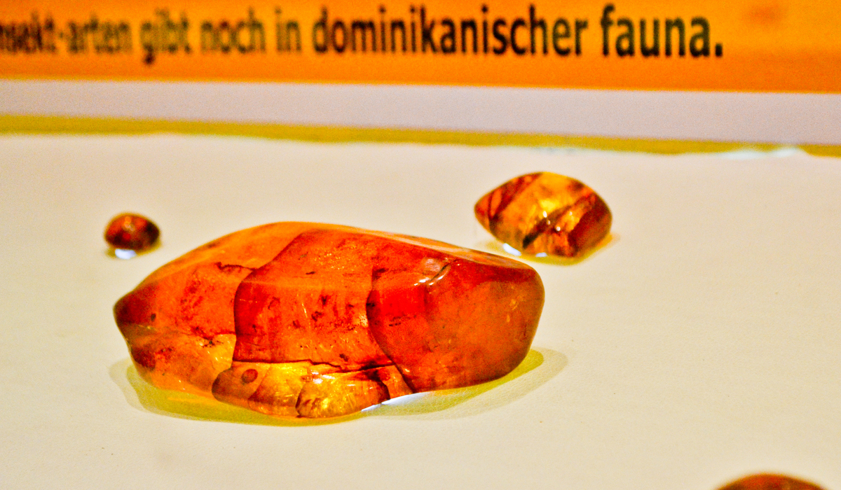 Puerto Plata Amber Stones in Amber Museum - Marysol Tours - Puerto Plata City Tour
