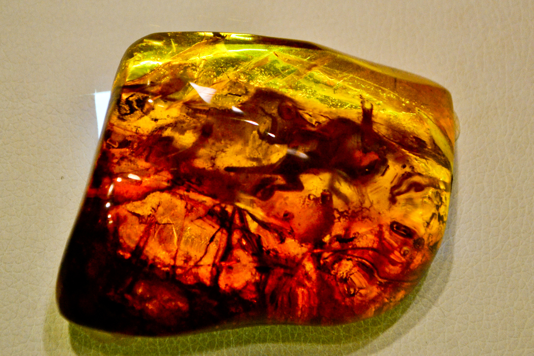 Amber Big Stone in Puerto Plata Amber Museum