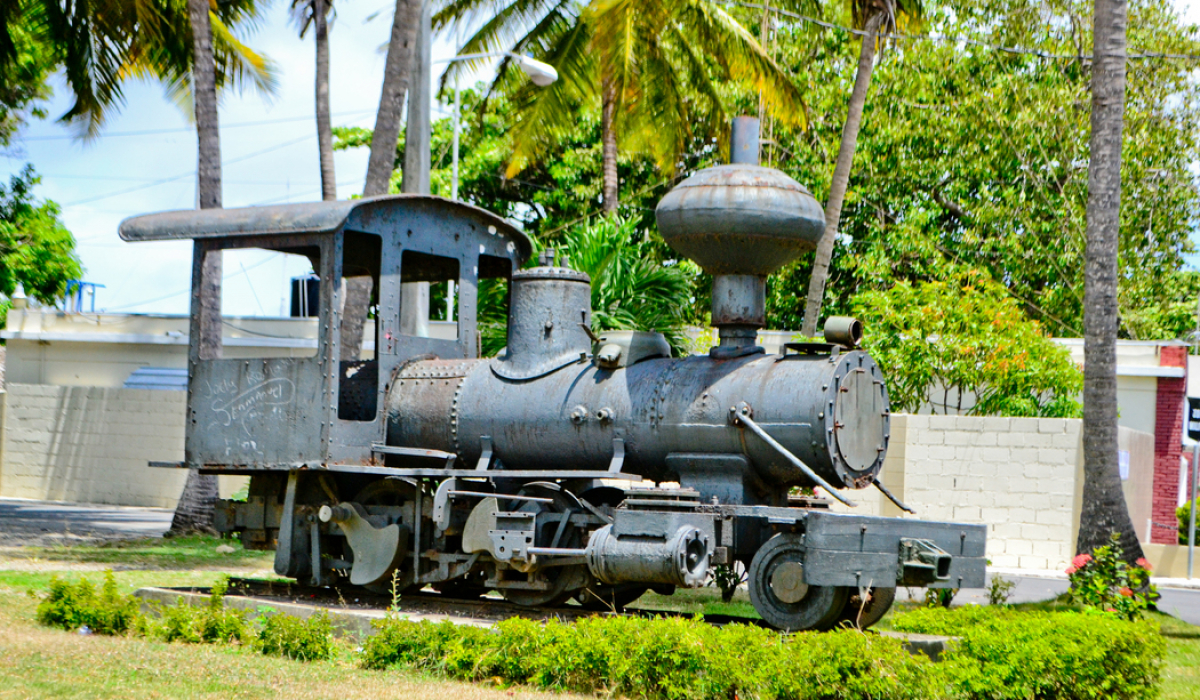 Beautiful picture of a train covered in flowers in Puerto Plata - Marysol Tours - Puerto Plata City Tour