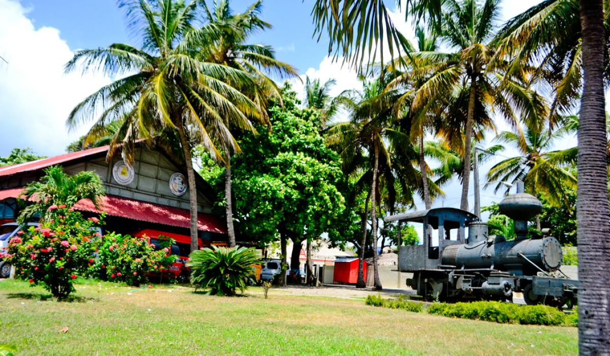 Beautiful picture off an old Train covered in flowers in Puerto Plata - Marysol Tours - Puerto Plata City Tour