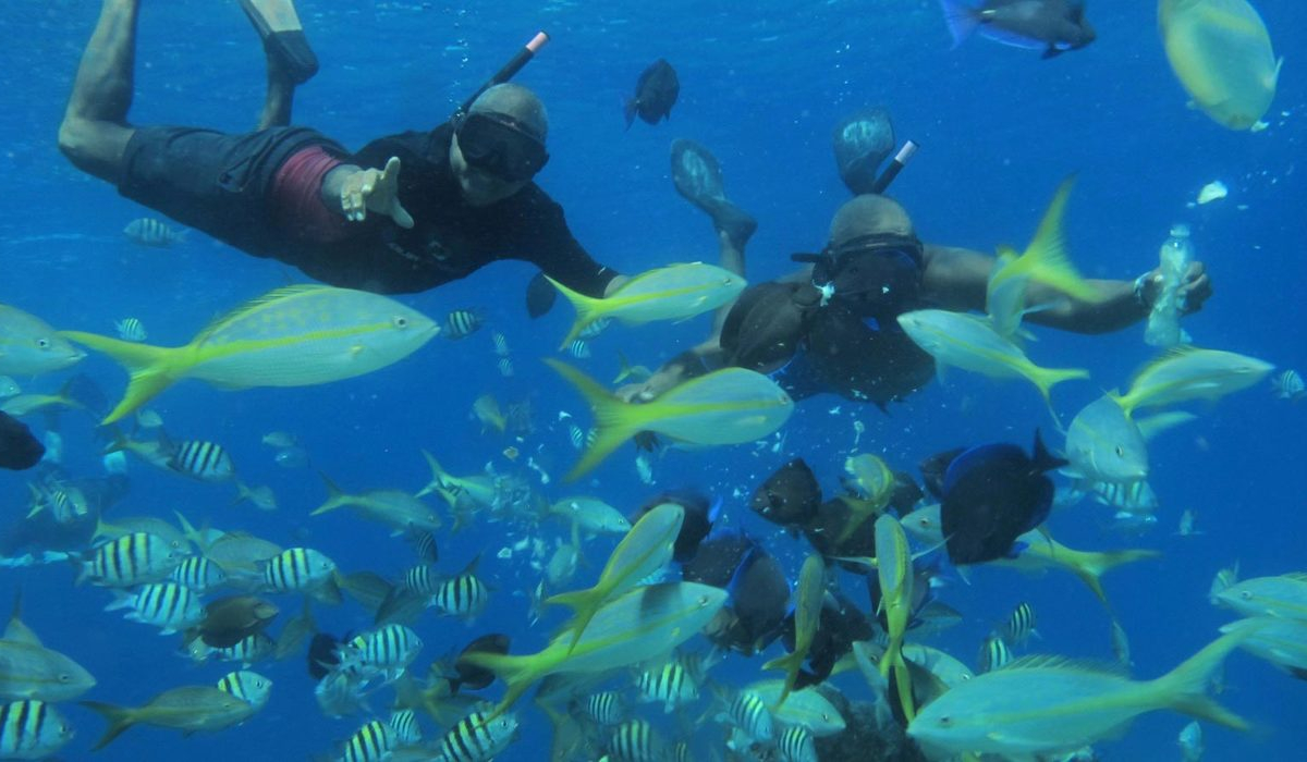 Sosua Beach Tour Snorkeling - Marysol Tours
